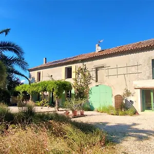Gite Palmier Mas La Cle D Ailleurs Appartement